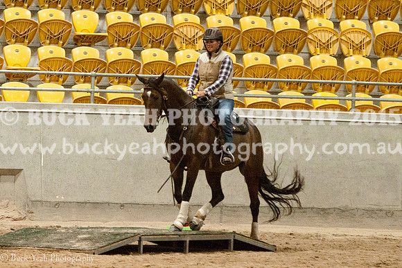 ANWEC 18-938