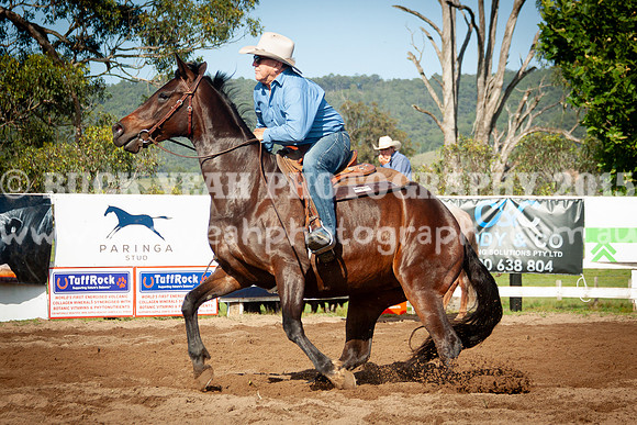 Vacy 24-82