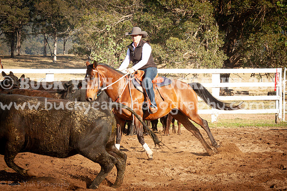 Vacy 23-12