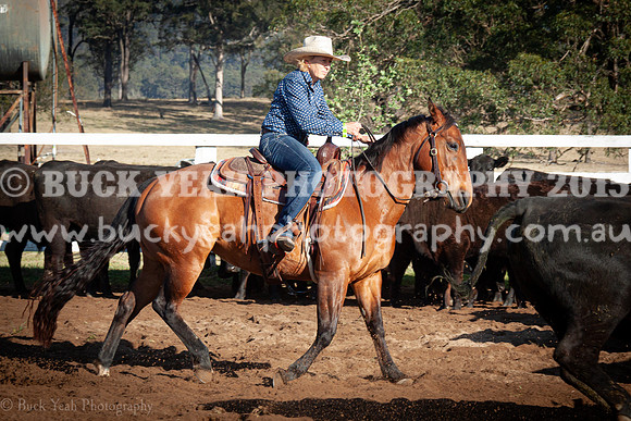 Vacy 23-15