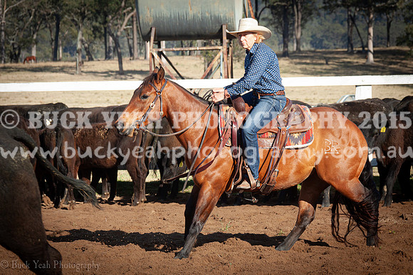 Vacy 23-16
