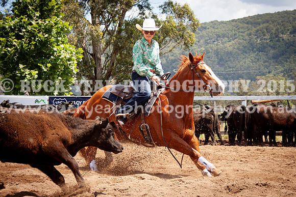 Vacy 24-541