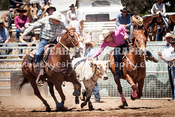 Muswellbrook-274