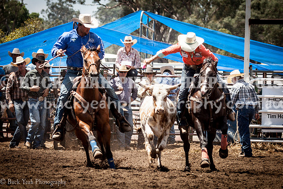 Quirindi-398