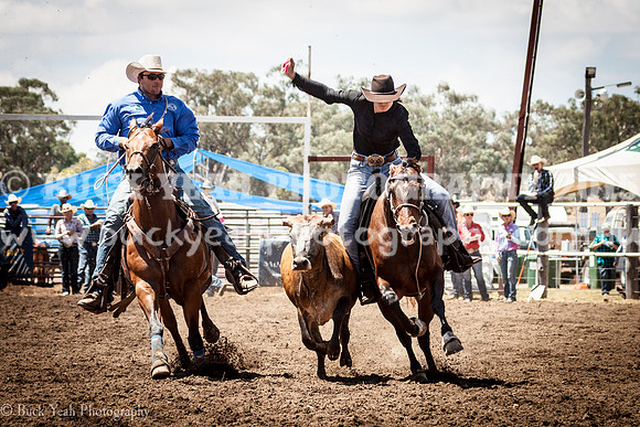 Quirindi-412