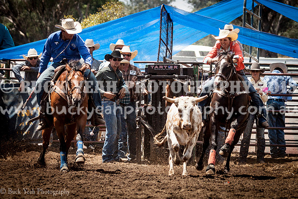 Quirindi-395