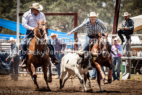 Quirindi-393