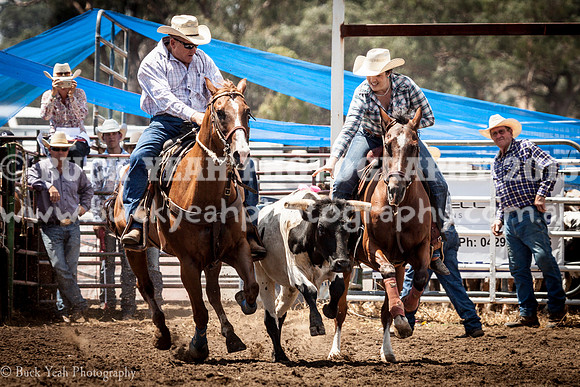 Quirindi-389