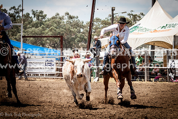 Quirindi-407