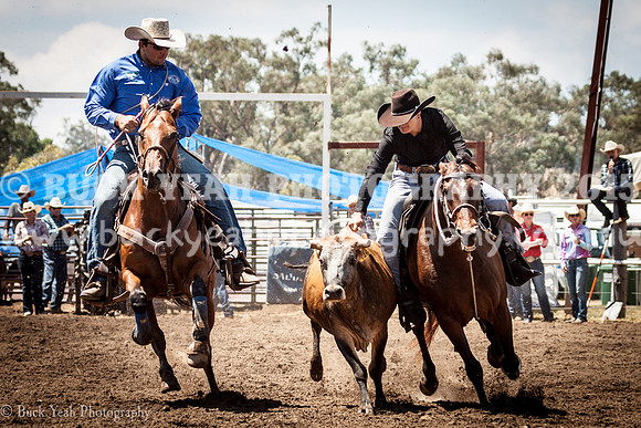 Quirindi-411