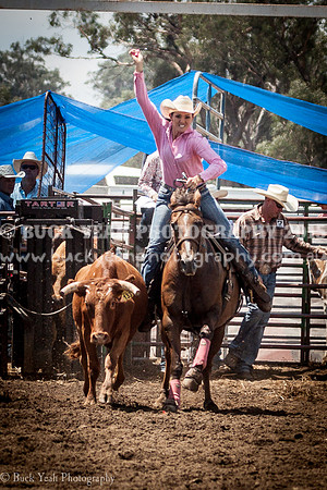 Quirindi-380
