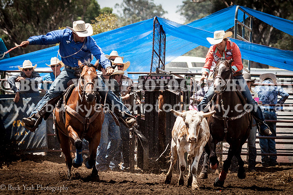 Quirindi-396