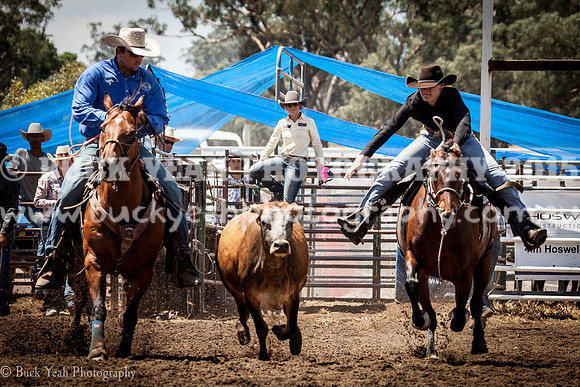 Quirindi-409