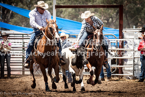 Quirindi-390