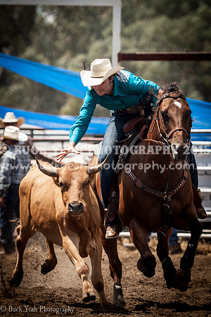Quirindi-382