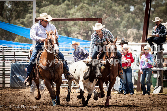 Quirindi-392