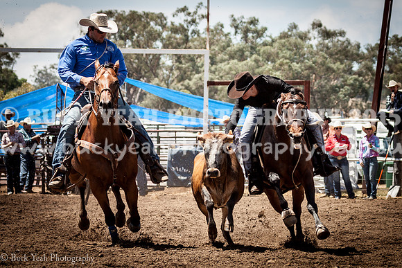 Quirindi-410