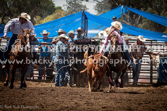 Quirindi-378