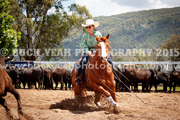 Vacy 24-542