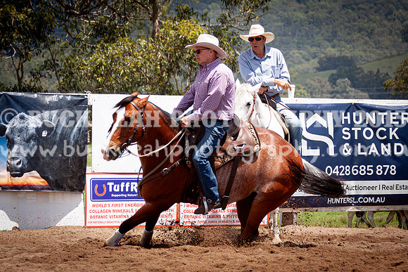 Vacy 24-531