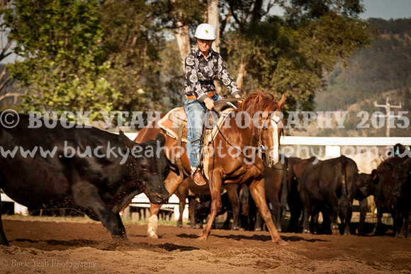Vacy 19 -40