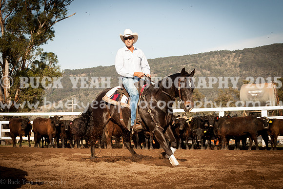 Vacy 19 -50