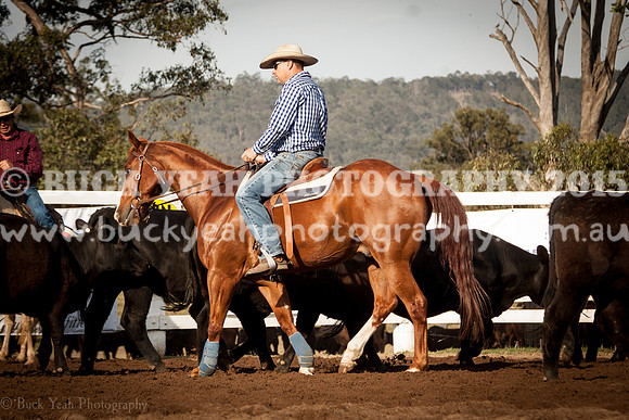 Vacy 19 -62