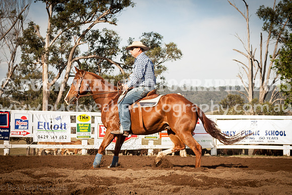 Vacy 19 -66