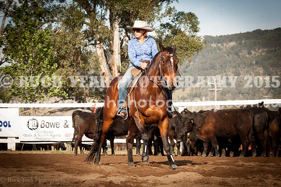 Vacy 19 -71