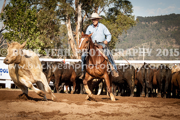 Vacy 19 -103