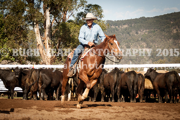Vacy 19 -104