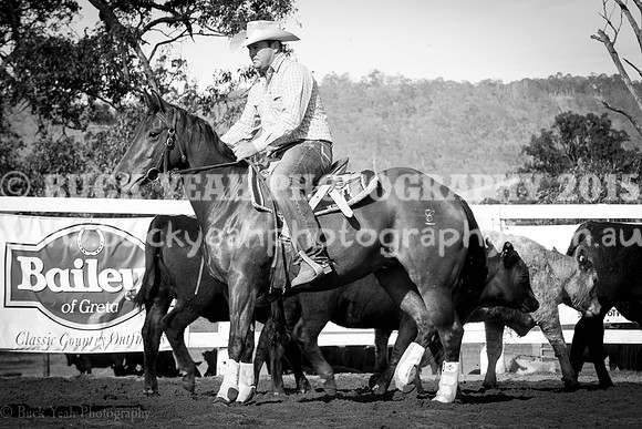 Vacy 19 -112