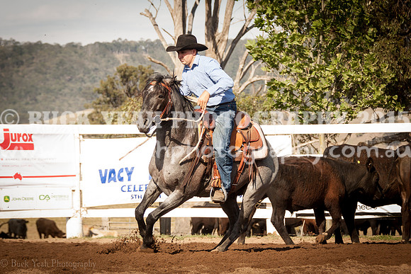 Vacy 19 -119