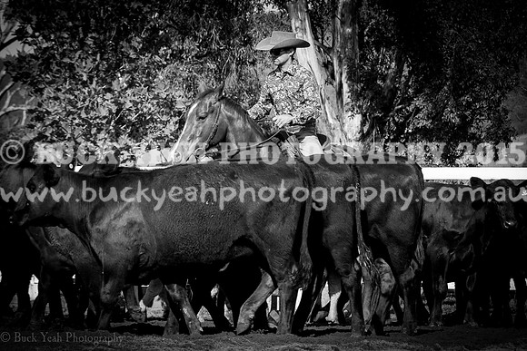 Vacy 19 -130