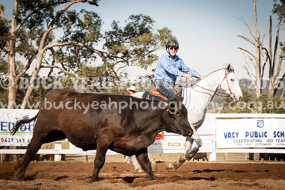 Vacy 19 -154