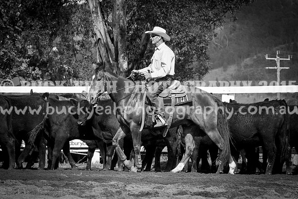 Vacy 19 -186