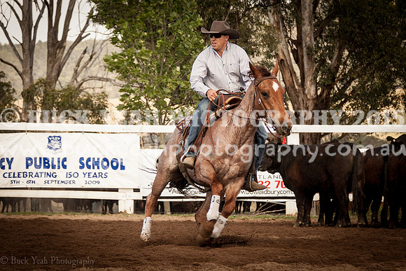 Vacy 19 -201