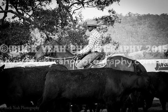 Vacy 19 -210