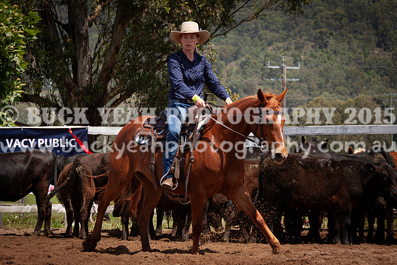 Vacy 24-381