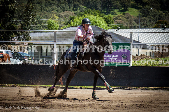 Clovers Nov sun-207