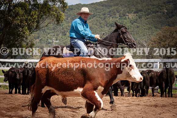 Vacy 24-368
