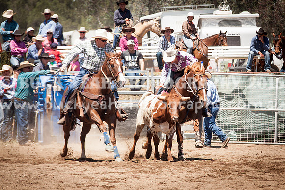 Muswellbrook-265