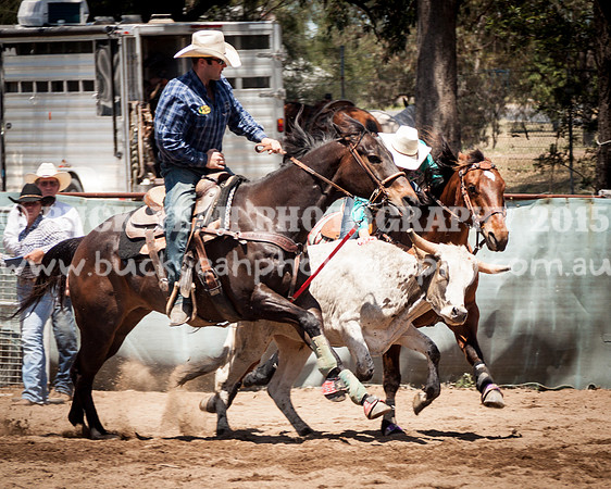 Muswellbrook-258