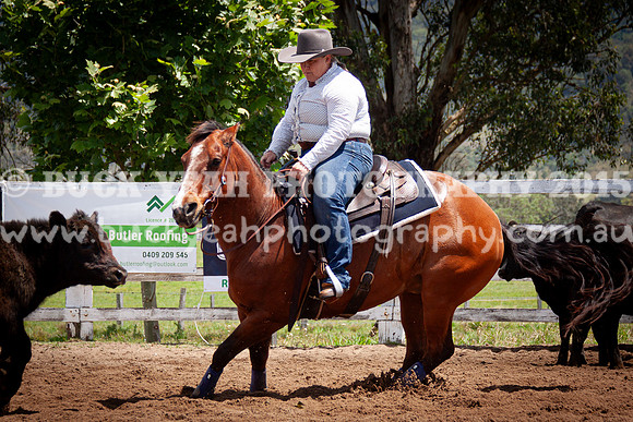 Vacy 24-549