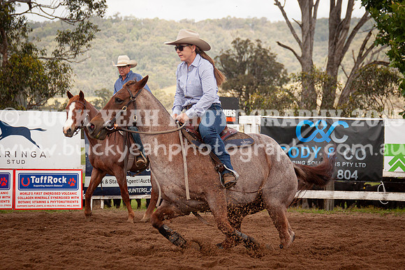 Vacy 24-229