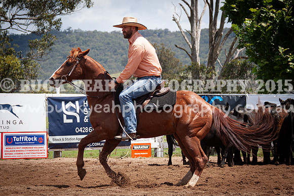Vacy 24-551