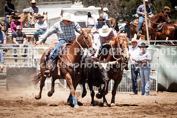 Muswellbrook-277