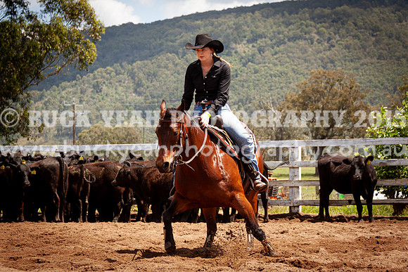Vacy 24-513