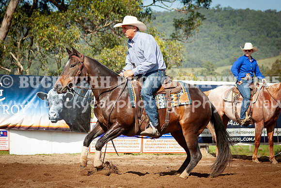 Vacy 24-100