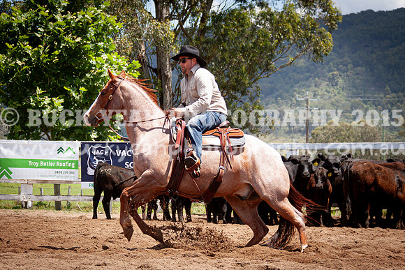 Vacy 24-519